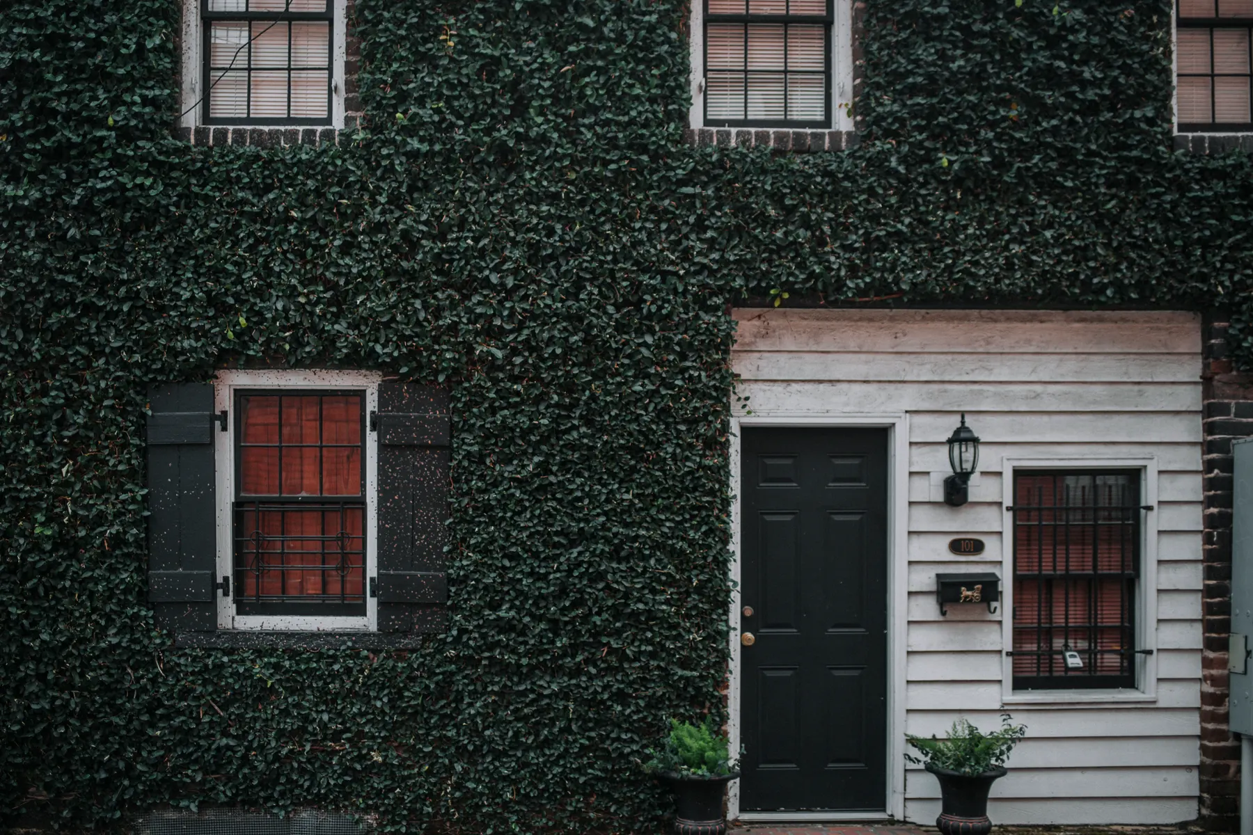 Black front door under a brass lantern on an ivy covered facade